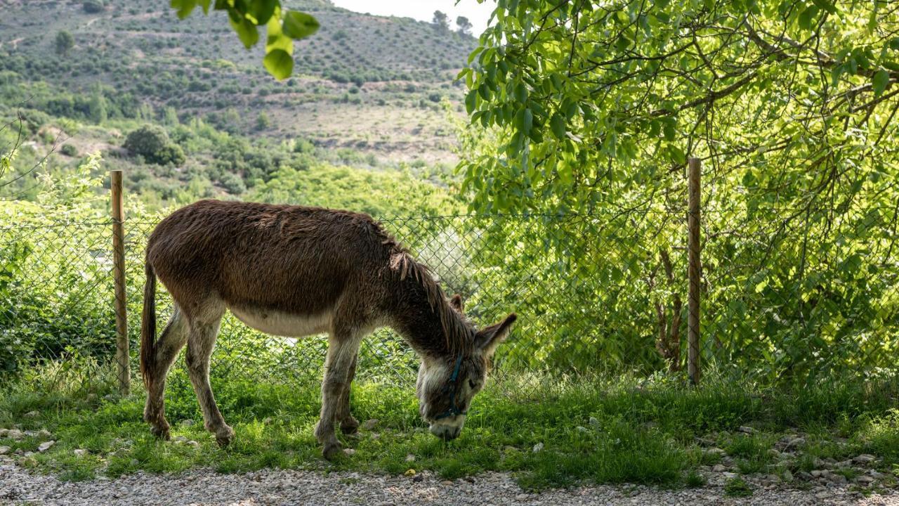 Casa Rural La Chocolateria Орче Экстерьер фото